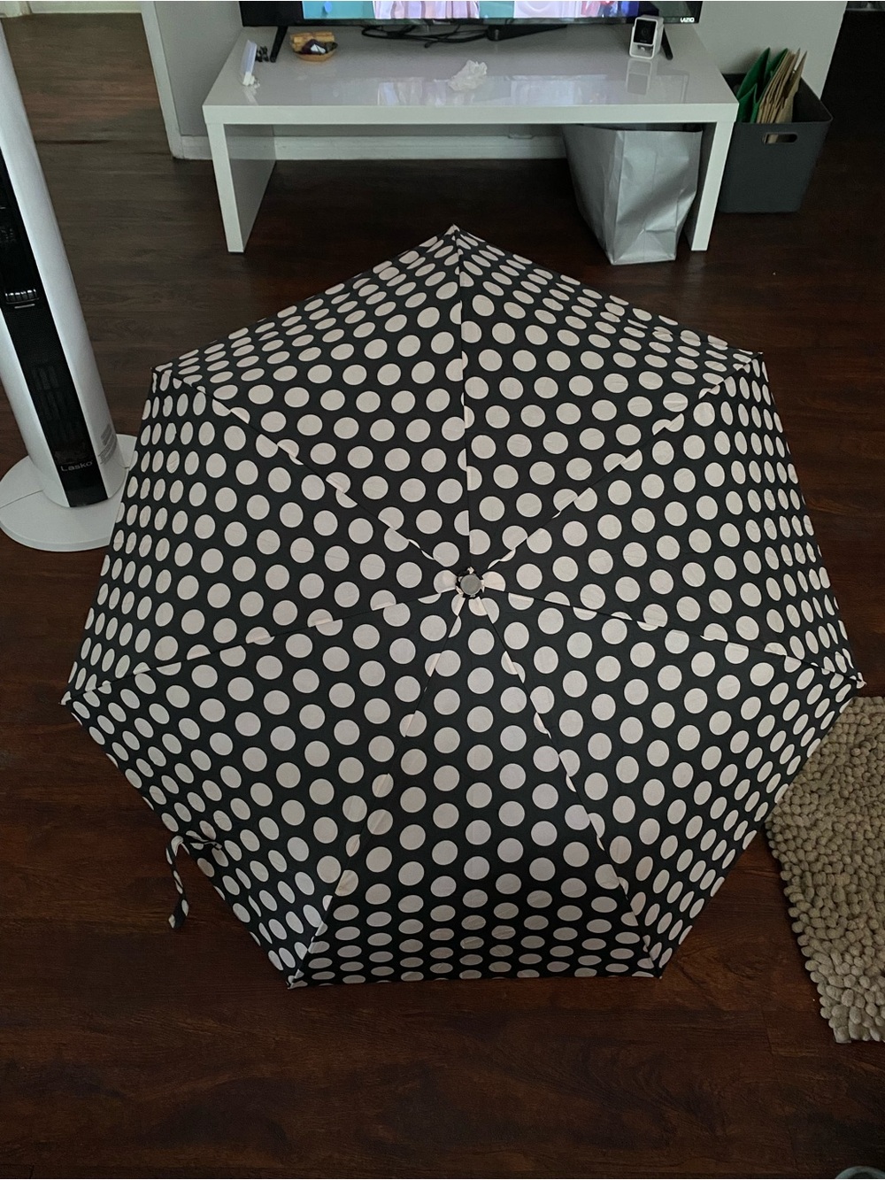 Umbrella
